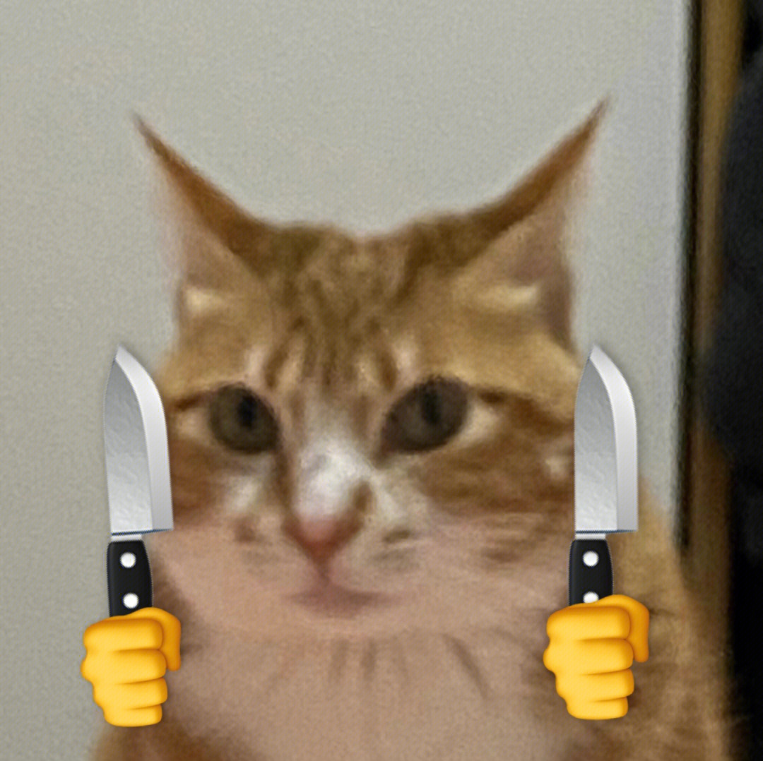 猫拿刀威胁表情包高清图片