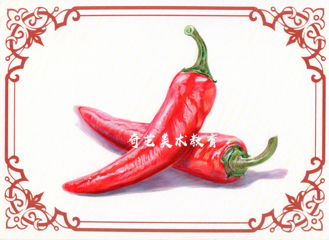 奇艺美术彩铅植物篇红辣椒