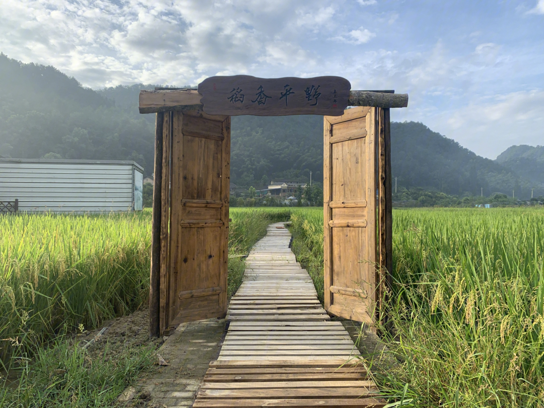 重庆周边游虎头山稻野农场避坑指南