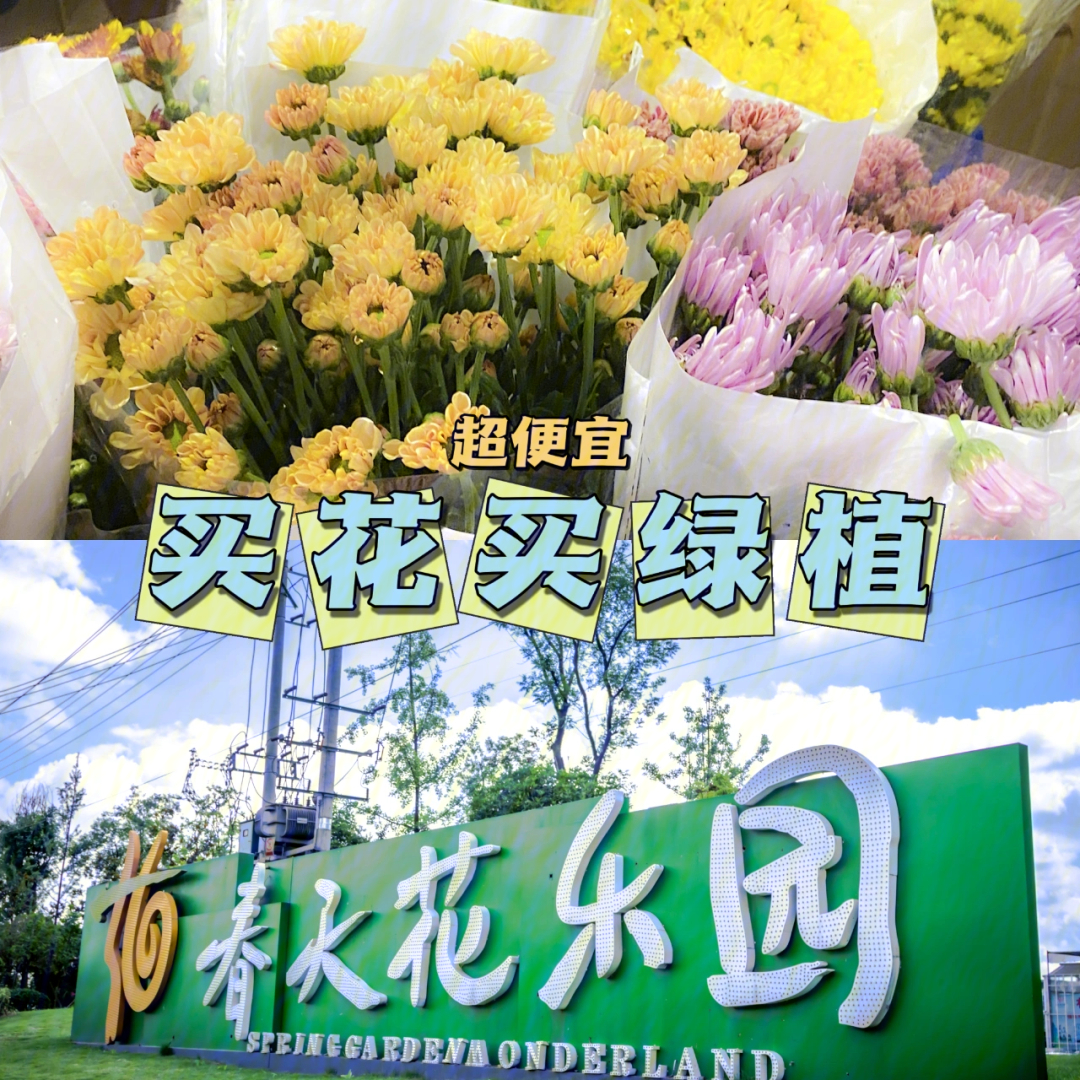 成都宝藏购花地春天花乐园