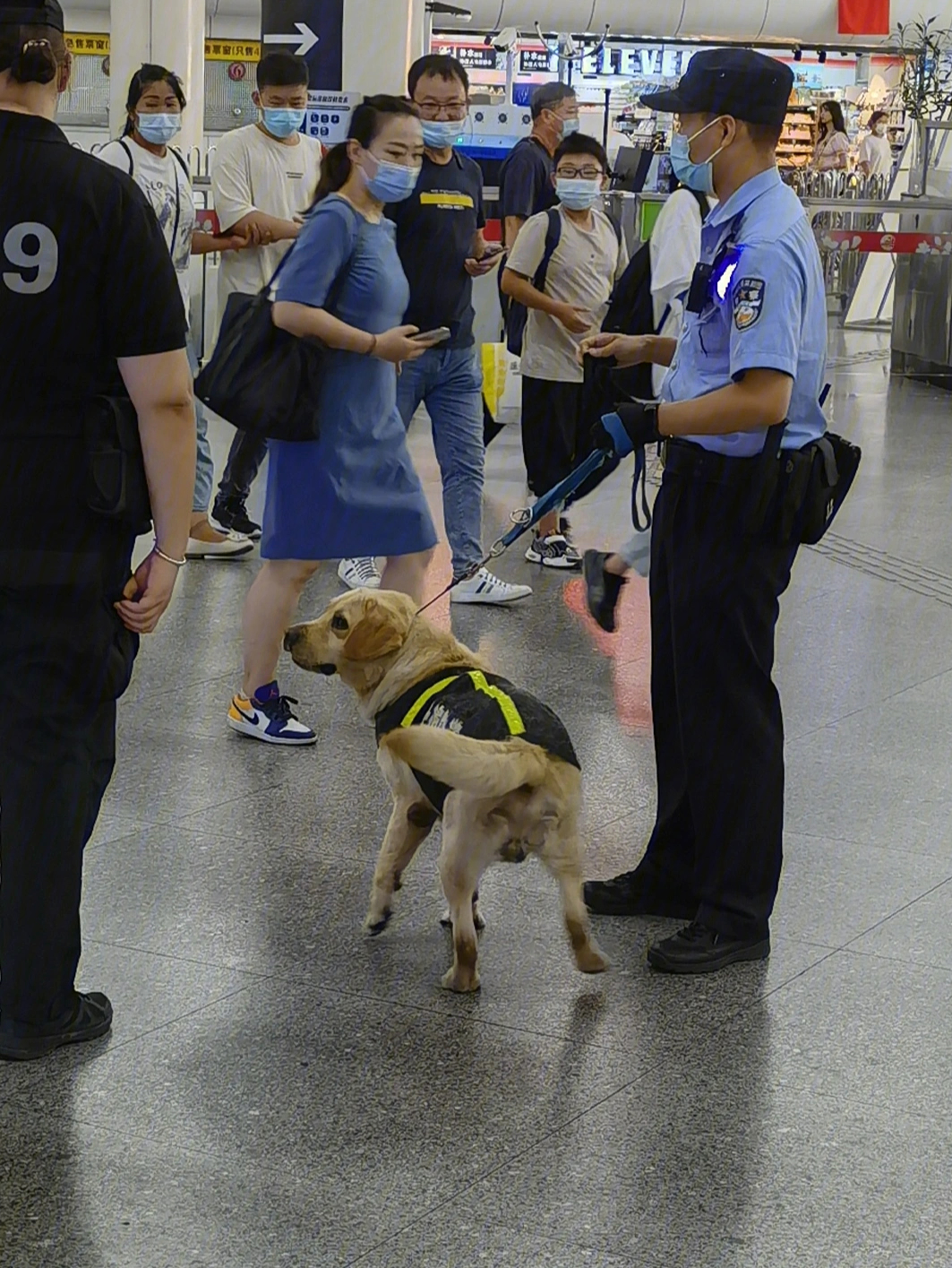 上海地铁站精神警犬