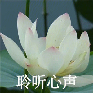 花朵头像