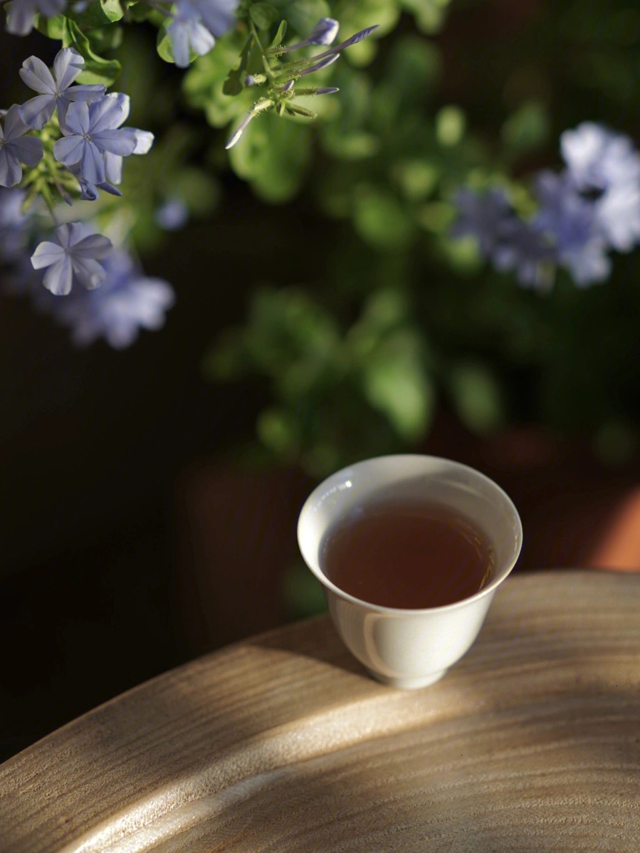 一日一茶草木人间