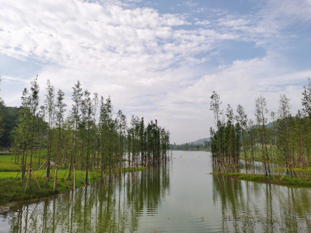 沙坪坝斐然湖有山有水有美景空气清新