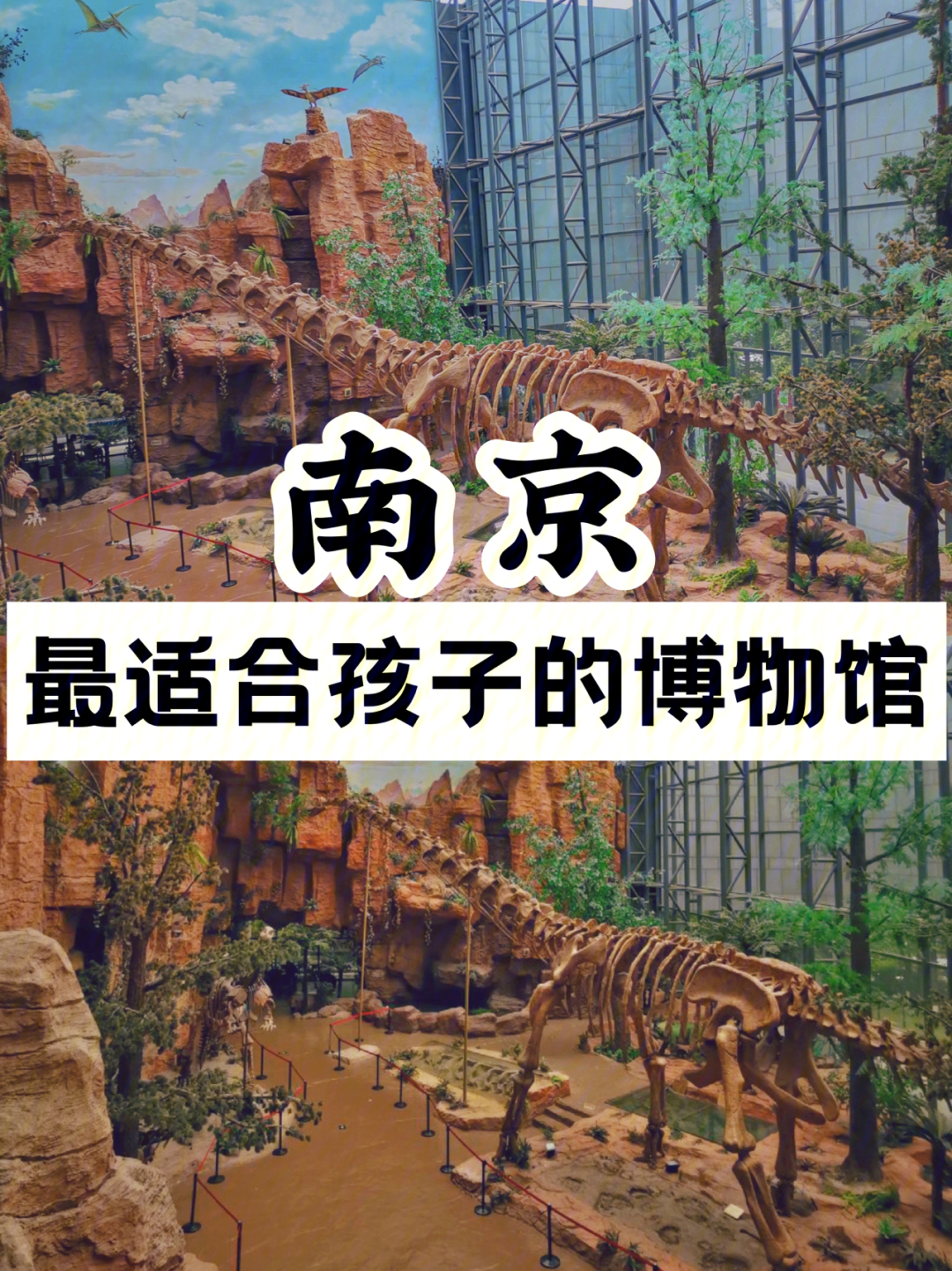 南京最全亲子旅游攻略你想知道都有