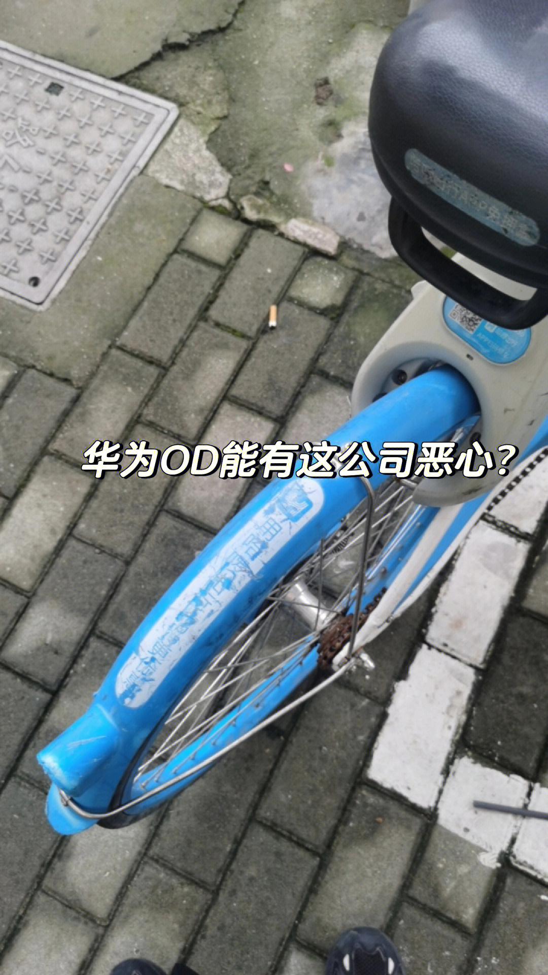 jpg