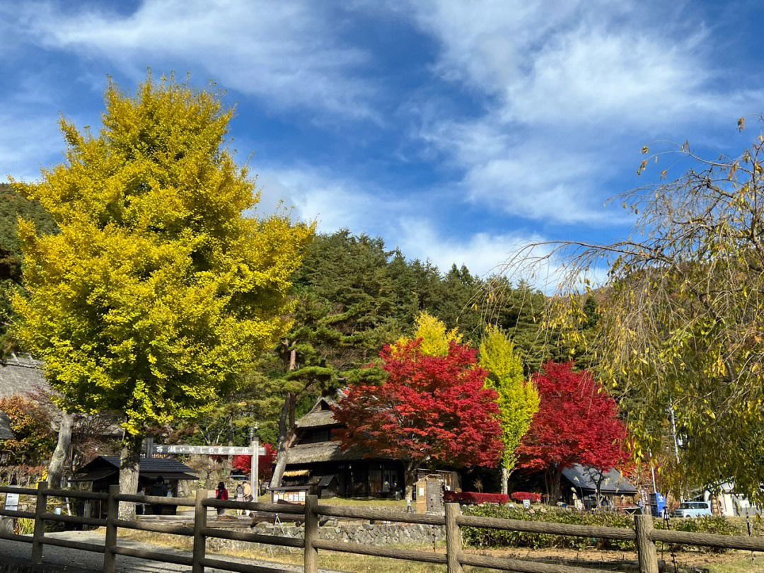 西湖愈里根场山梨県