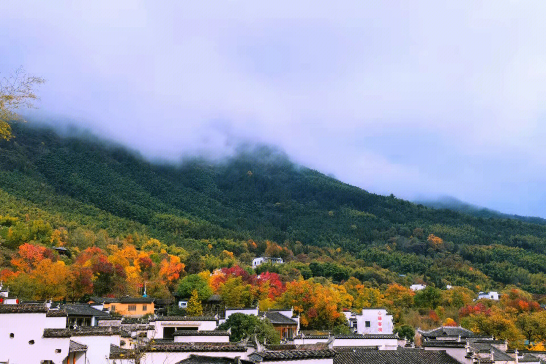 11月的安徽黄山塔川秋色#治愈系风景