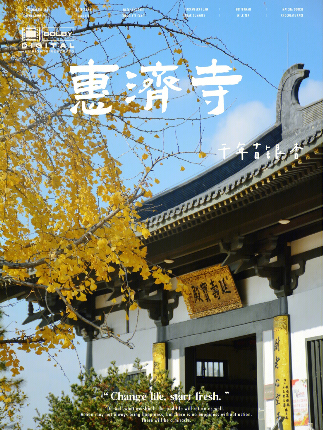 南京古惠济寺千年的银杏千年的历史