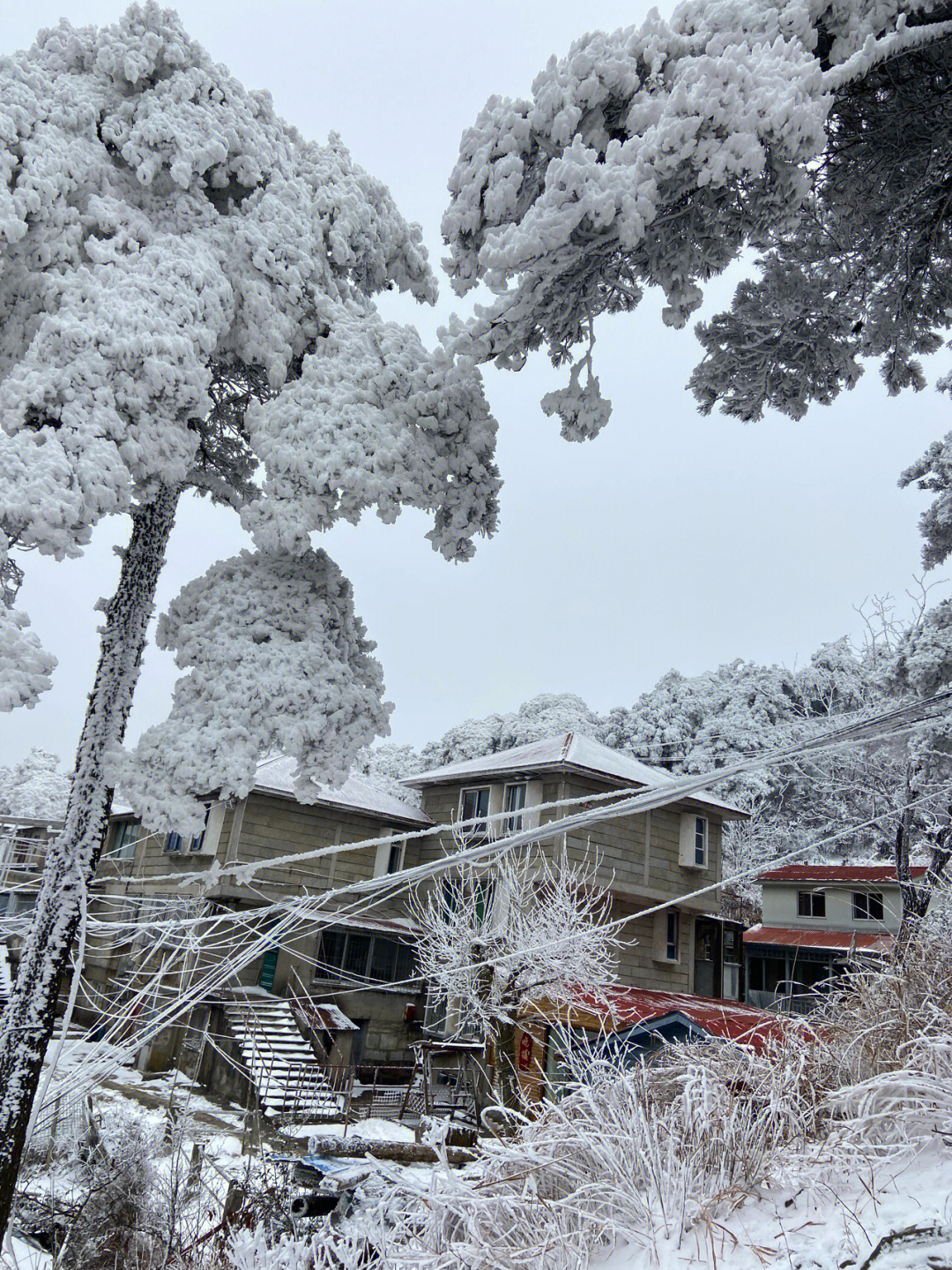 庐山雪景