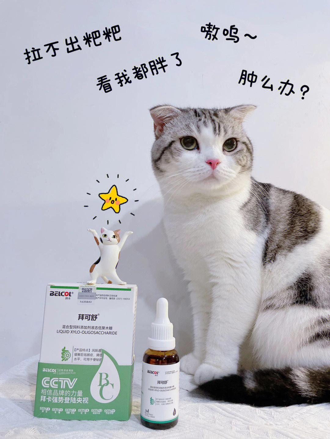 然后她们也给我推荐这款拜可舒乳果糖,我就入99给猫咪试试了