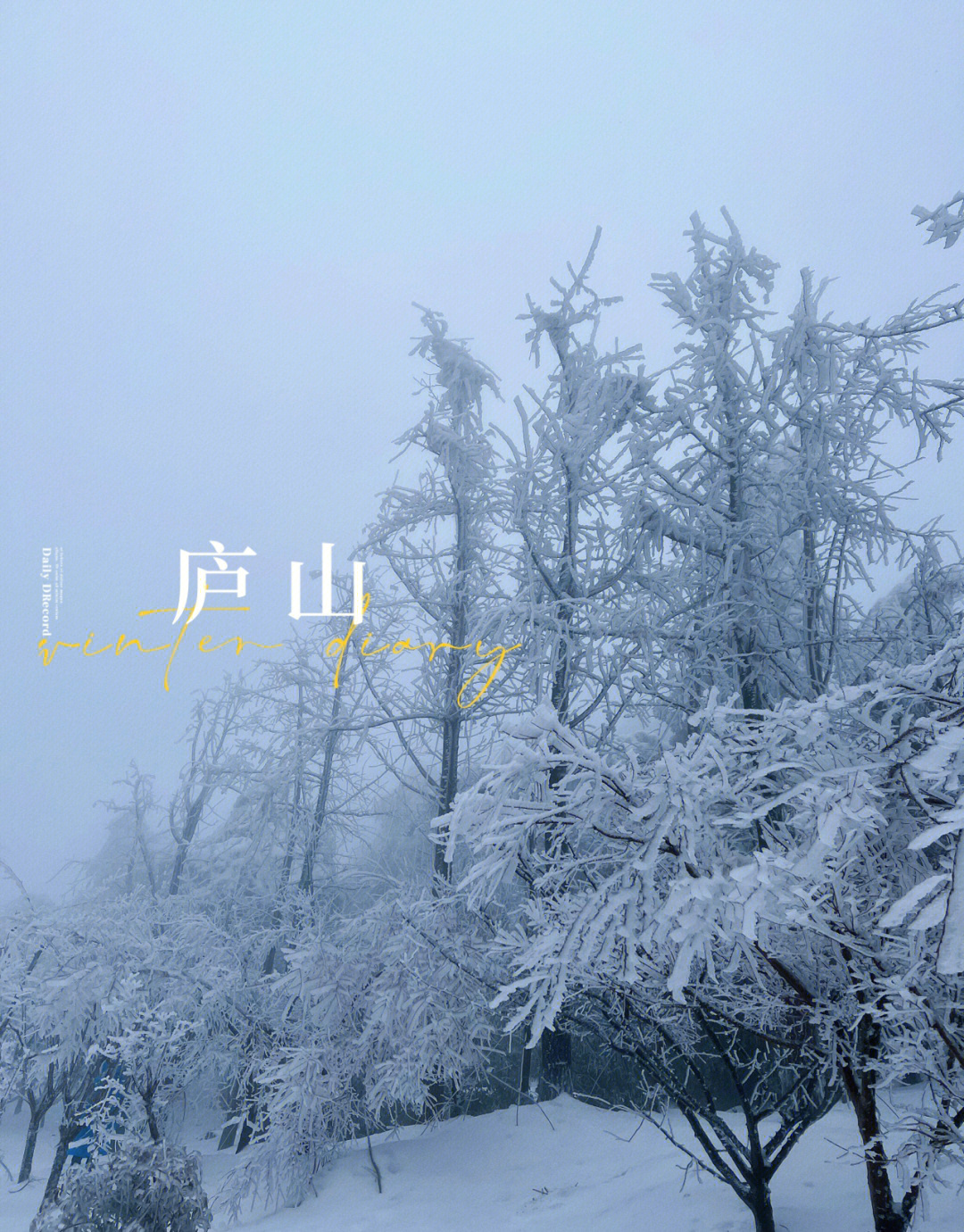 庐山雪景绝美子