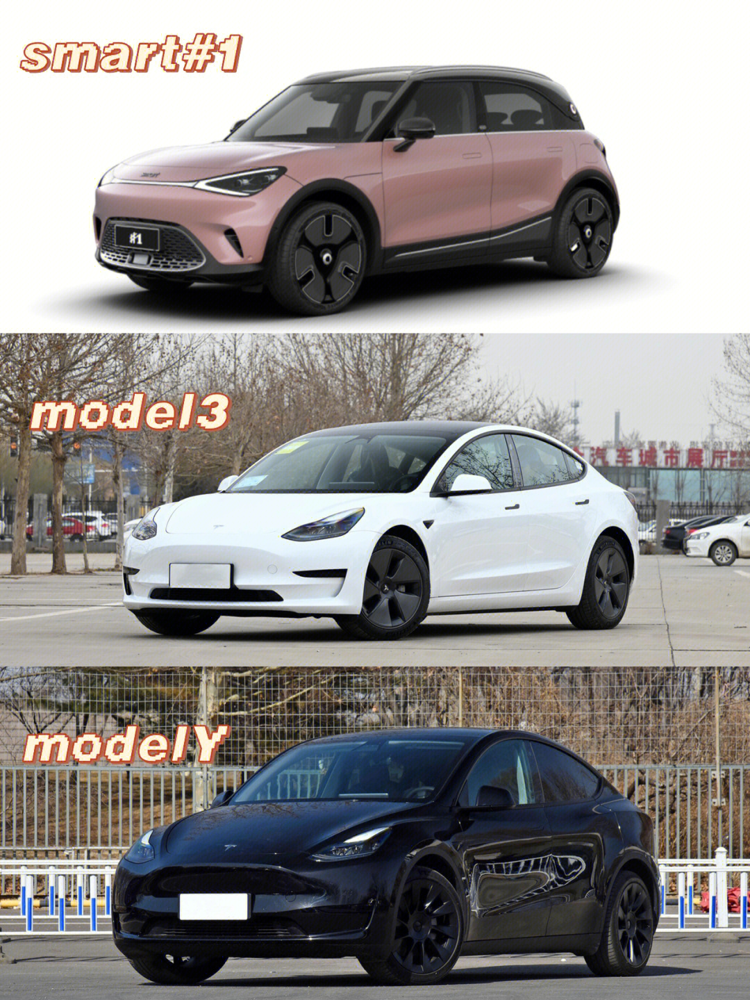 smart1对比特斯拉model3modely