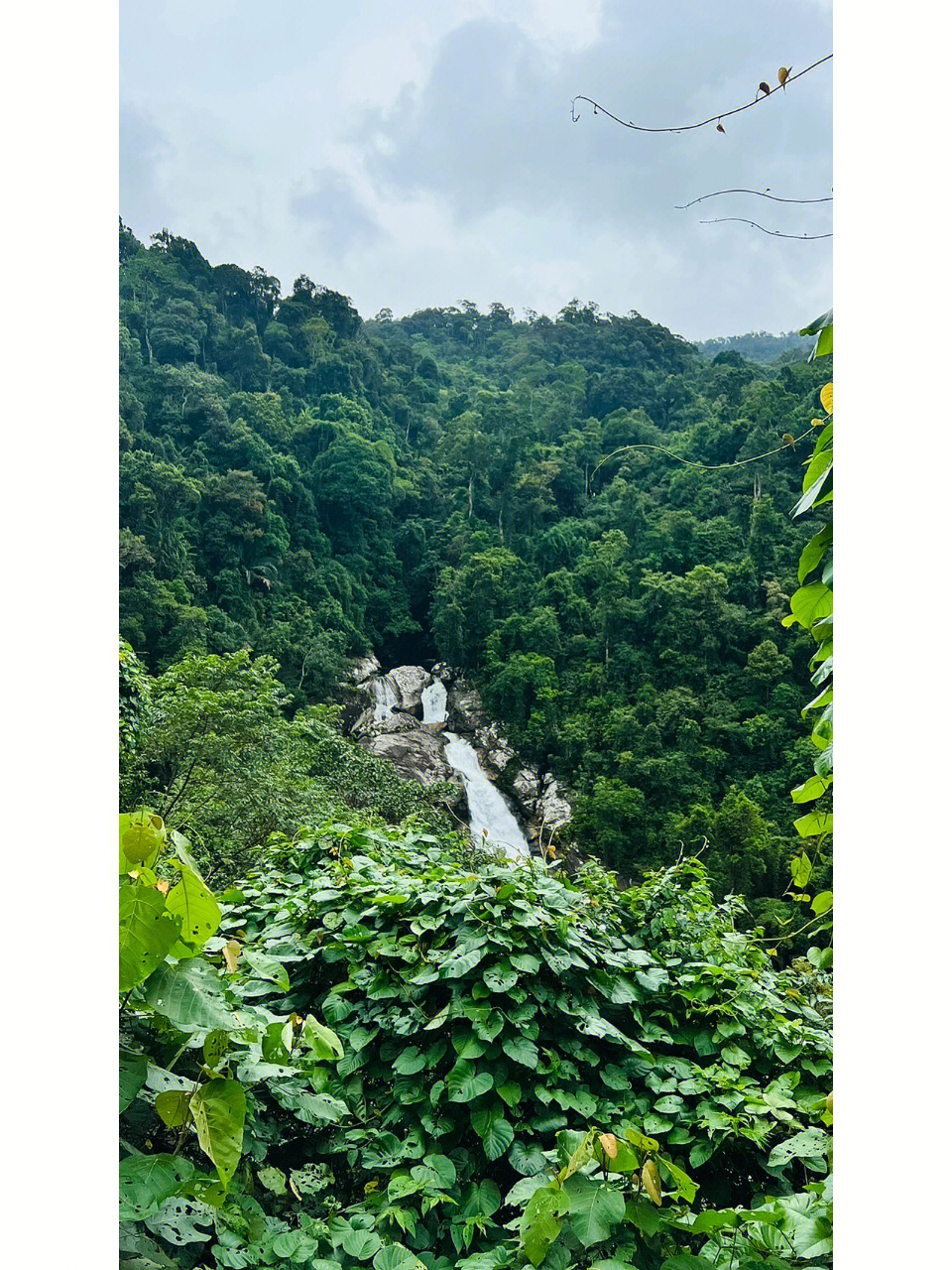 三亚陵水吊罗山国家自然保护区