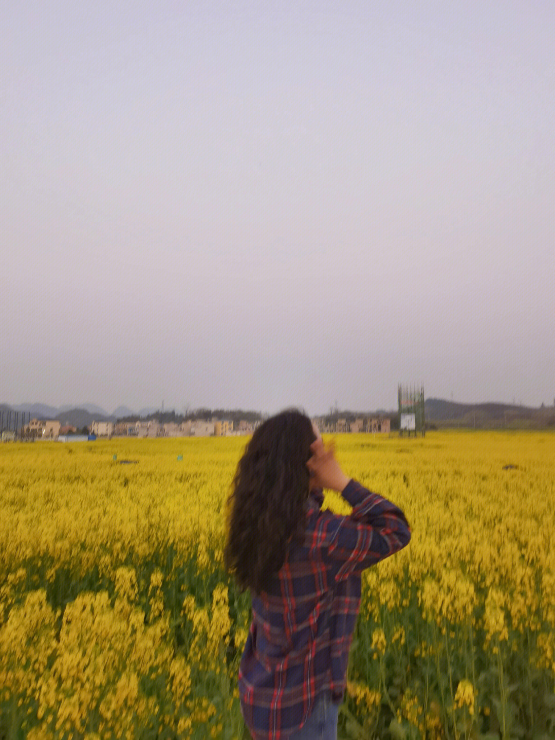 平坝油菜花