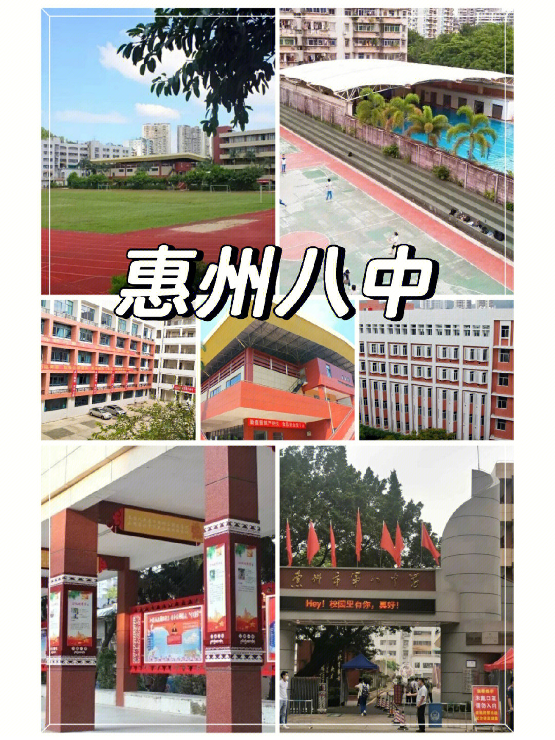 育树成林,惠州市第八中学