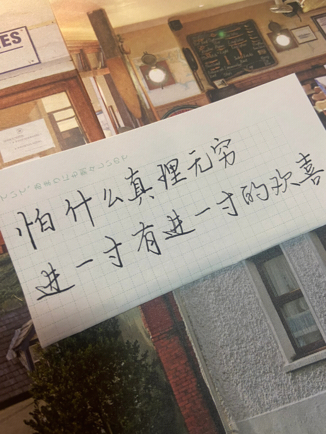 怕什么真理无穷进一寸有进一寸的欢喜78