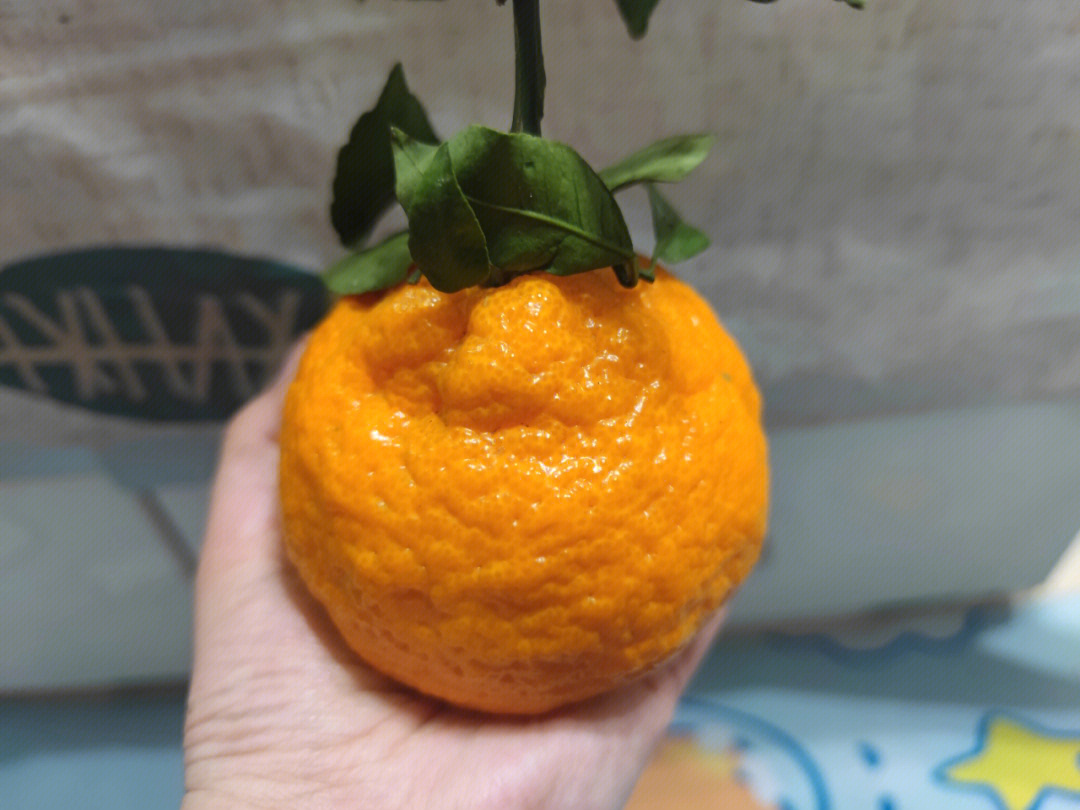 怎么在网上卖丑橘