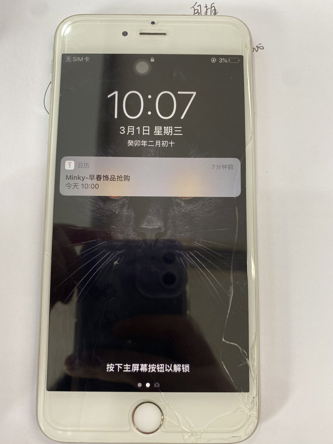 6sp报错53