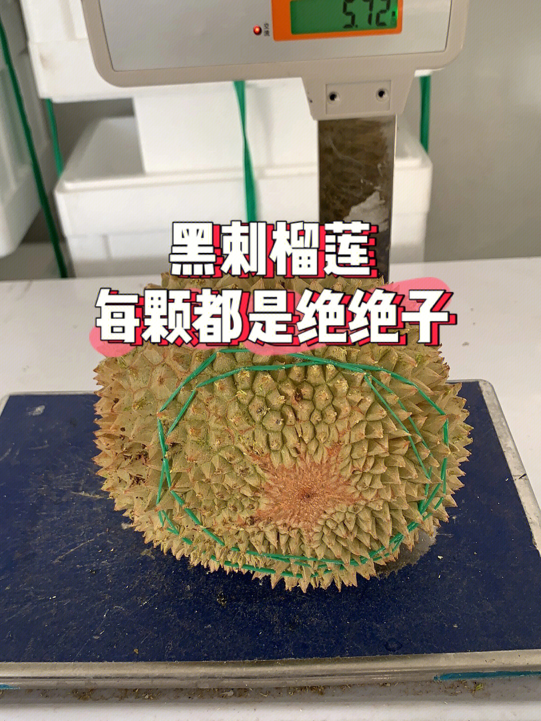 黑刺榴莲北京同城价格便宜