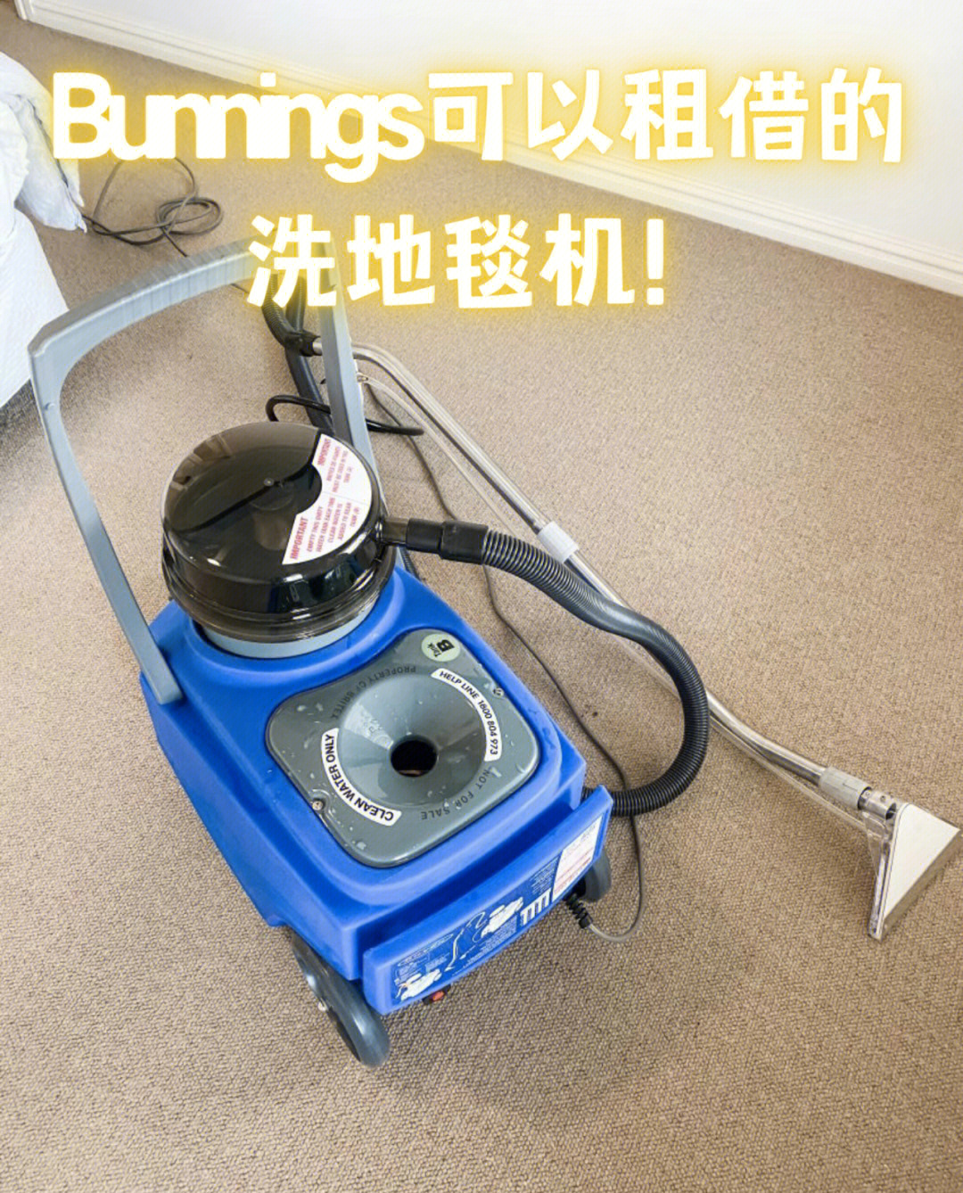 bunnings可以租借的洗地毯机