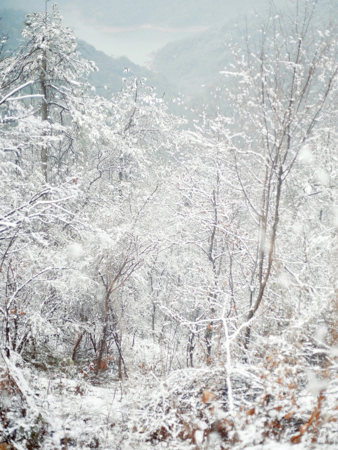 义乌超美雪景拥抱冬天最后一场雪76