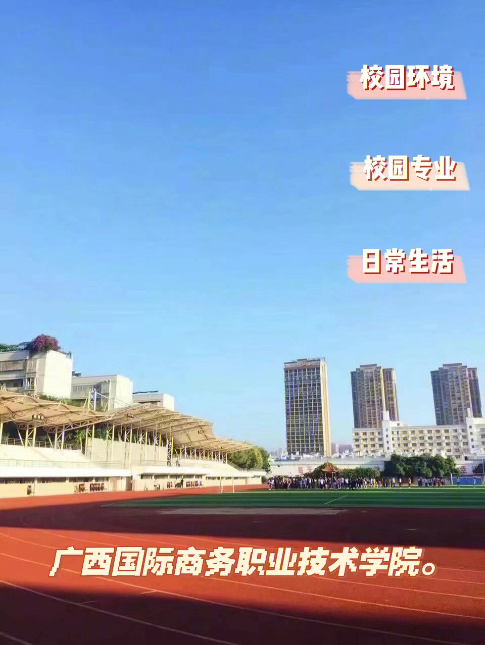 广西国际商务职业技术学院【高考填报分析】