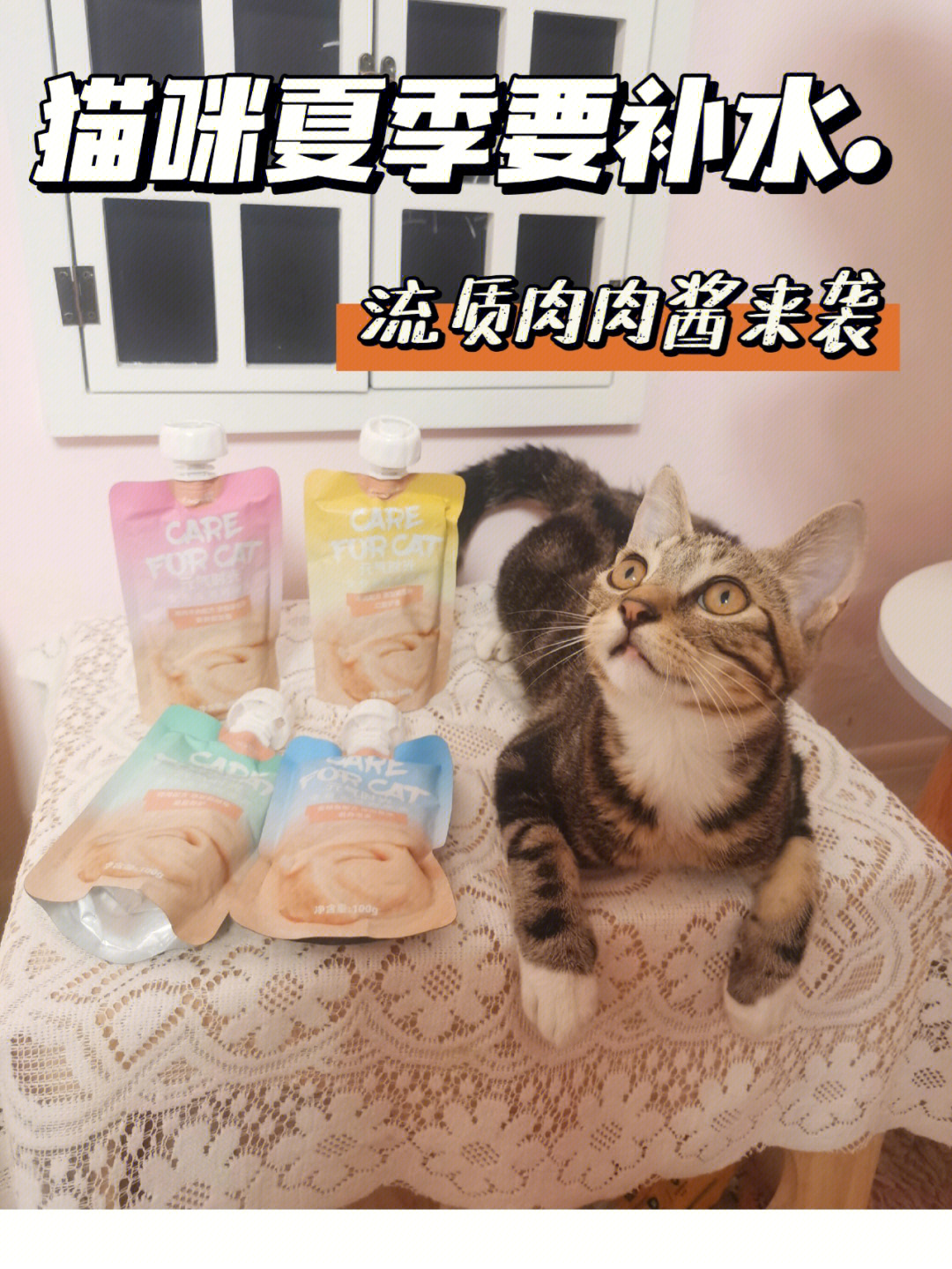 猫条已经满足不了我家猫咪了