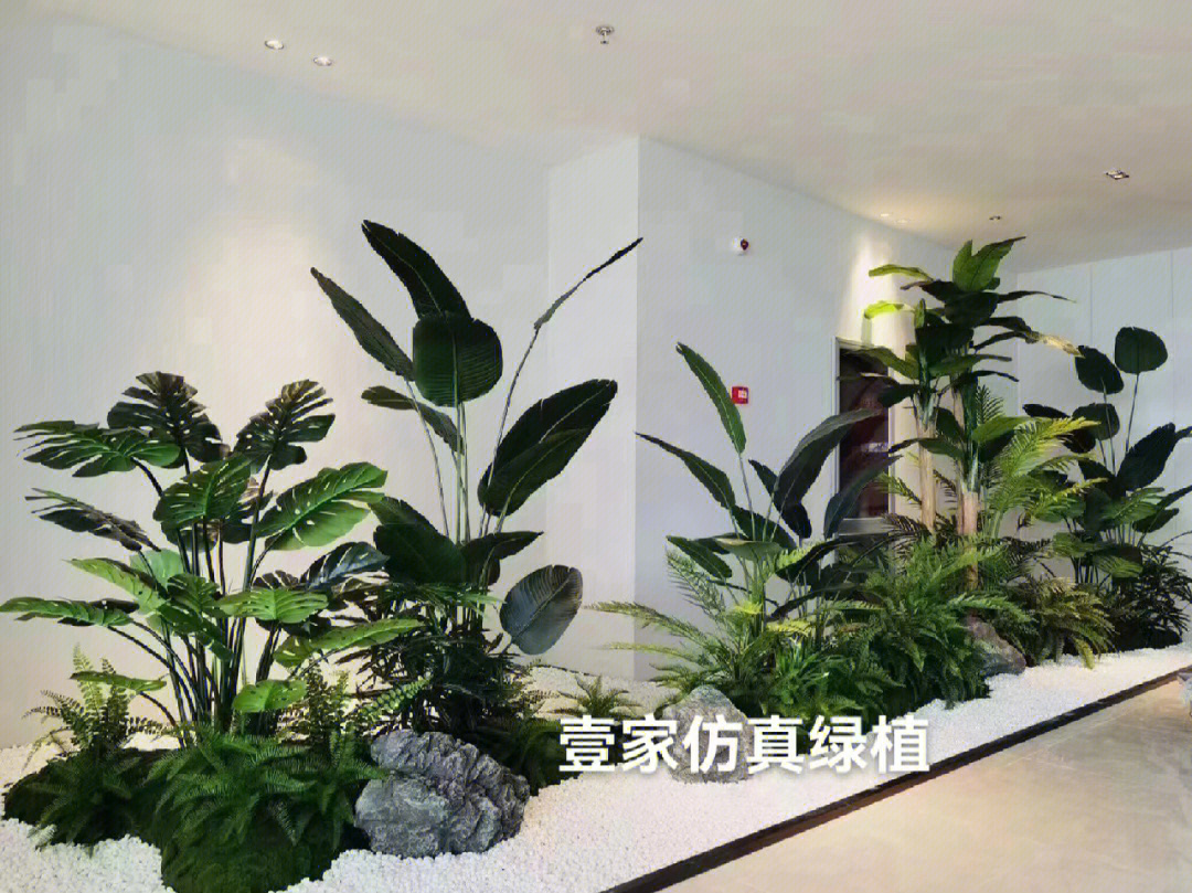 绿植造景