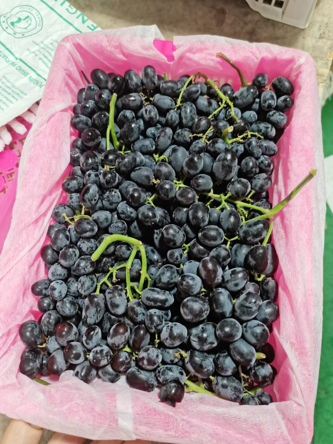 我的团长我的团#社区团购团长#新疆水果 无核紫,也就是黑加仑