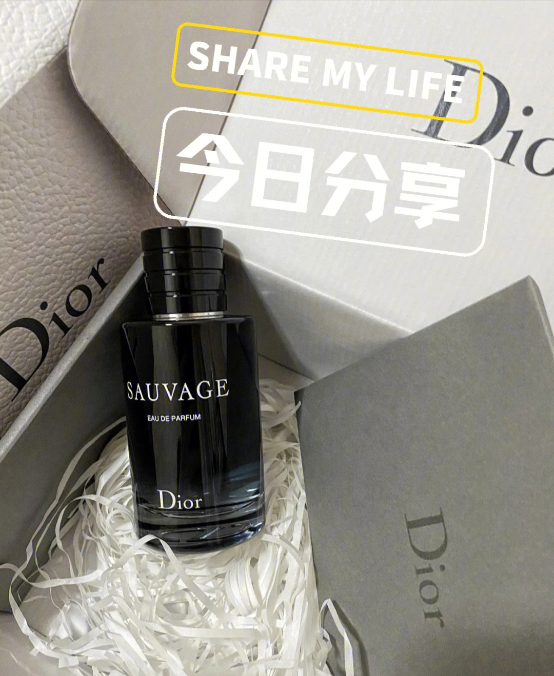 dior迪奥旷野男士淡香水60ml380