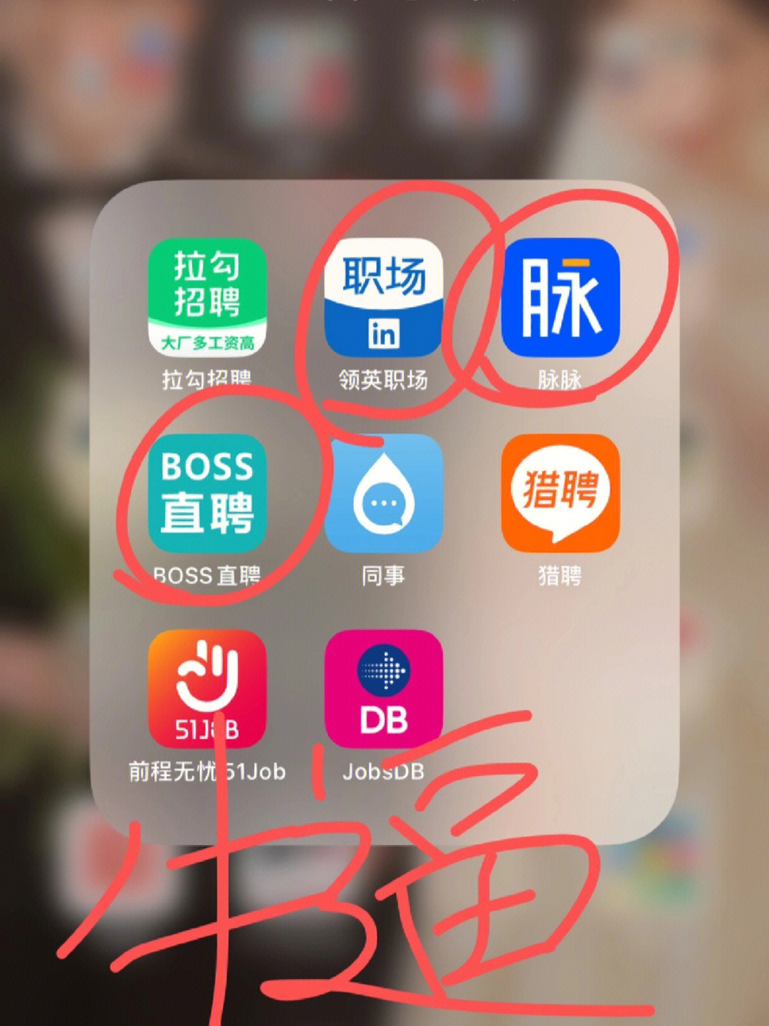 jpg