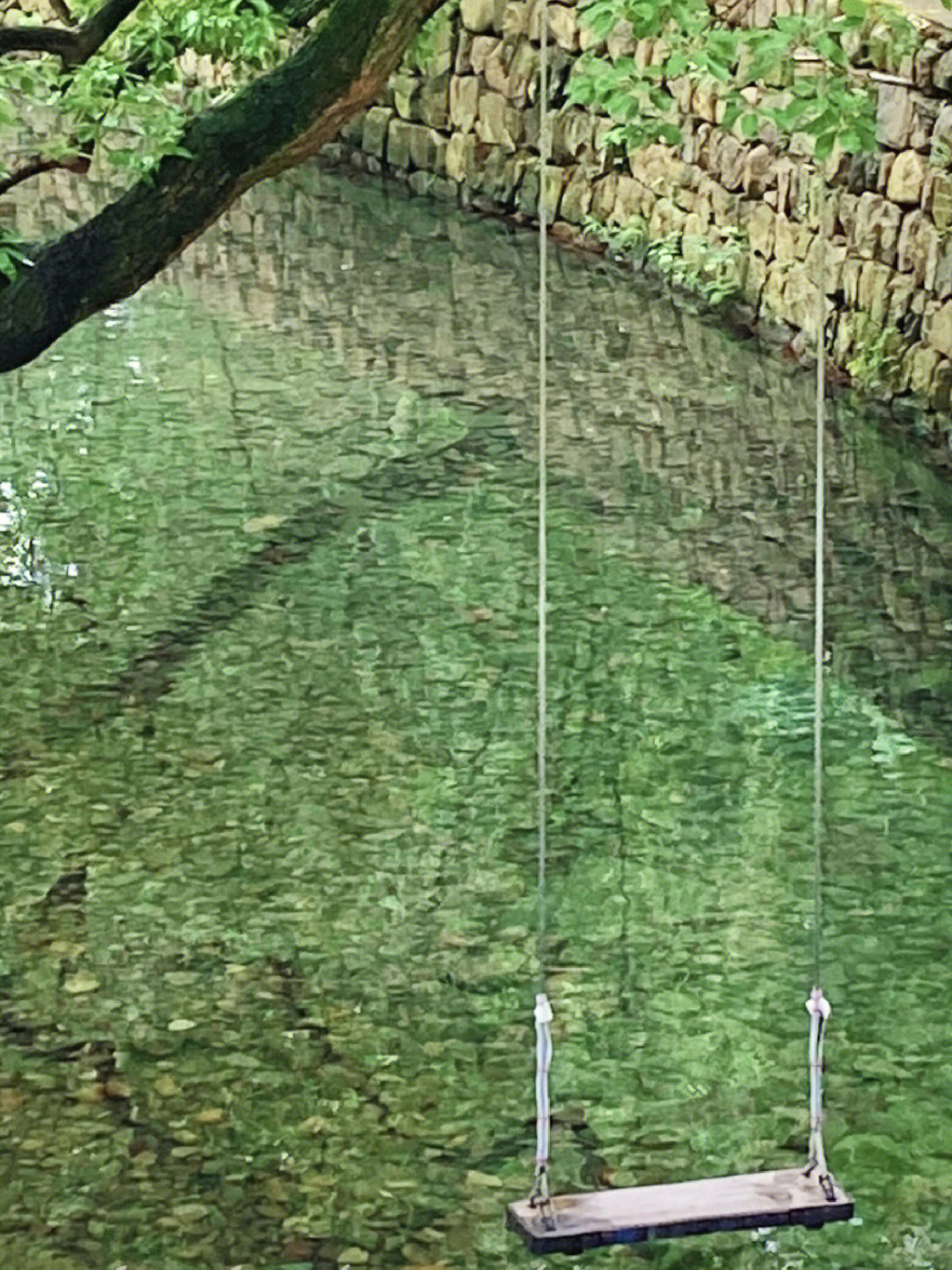你们要的深山老林！！ 王炸版冷门乡村❗️ 烟雨入江南，做个浪漫的旅游人吧！ 真的要去这7⃣️个依山傍水的乡村 不去后悔系列！ 1⃣️宁波｜城杨村 一个亭溪环绕的新晋网红村，夏季玩水好去处，街角墙边处处🉑️打卡拍照📷；蓝天白云下，还可以悠然的去徒步➡️亭溪岭 百步尖 城杨村 益马当鲜共享农场 2⃣️宁波｜葛家村 一个沿溪而建，处处充满艺术感🎨的乡村，这里的村民，家家户户门🚪前都挂着“艺术作品”，这里是古香古色与艺术的结合体！ 整个村庄都是由大学教授带领艺术团队打造而成！非常的有氛围感 3⃣️绍兴｜溪上村 一个藏在竹林🎋山谷里的村庄，青石桥、石板路，这就是所谓的小桥流水人家，“一河一街”看人间烟火气息，还能在竹筏上荡秋千 4⃣️湖州｜潞村 一个千年古村，一条小溪、四座古桥保留了旧时的古老记忆！如今古村换新颜🏠，又是一个新晋网红小村庄！喝咖啡，逛古村的闲暇时光 5⃣️宁波｜下枫槎 一个“云海梯田”浪漫的日出观赏地，视野开阔，满山的梯田茶园，满眼的“碧绿”净收眼底，滩涂边的天幕更是拍照打卡好地方，吹吹晚春初夏的风，沉淀自己 6⃣️宁波｜洋山村 一个东钱湖附近的小山村，很有宫崎骏漫画里的感觉；茂密的丛林、蜿蜒的小路，一道亮丽的风景线，出图📷也是杠杠的 徒步路线：洋山村 大嵩岭古道 福泉山 洋山村talklook艺术农场 7⃣️台州｜姚渚 一个旧时征战之地，现已成为山水田园之村；“七山一水二分田”有种万壑峥嵘，烟霞纵横之感，五一去这可以吸收⛰️山的灵气，水的秀气，海的豪气 #宁波周边冷门乡村 #浙江旅游 #不出远门过五一 #江浙沪周边游 #旅游人攻略 #小众旅行地 #笔记灵感 #浙江旅游打卡 #宁波探店 #台州拍照 #拍照打卡 #五一去哪玩儿 #宁波户外 #徒步路线推荐 #宁波吃喝玩乐 #江浙沪小众周边游 #未来乡村