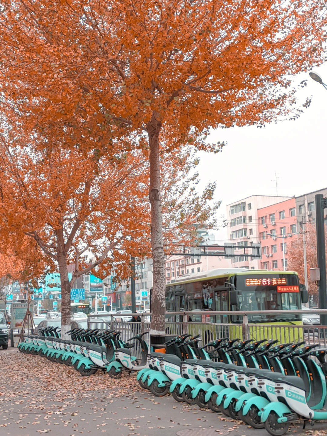 吉林市秋天的街景