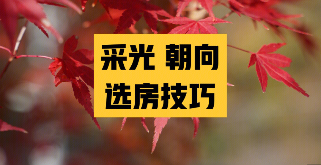 日本买房采光朝向-选房技巧 别忘收藏!