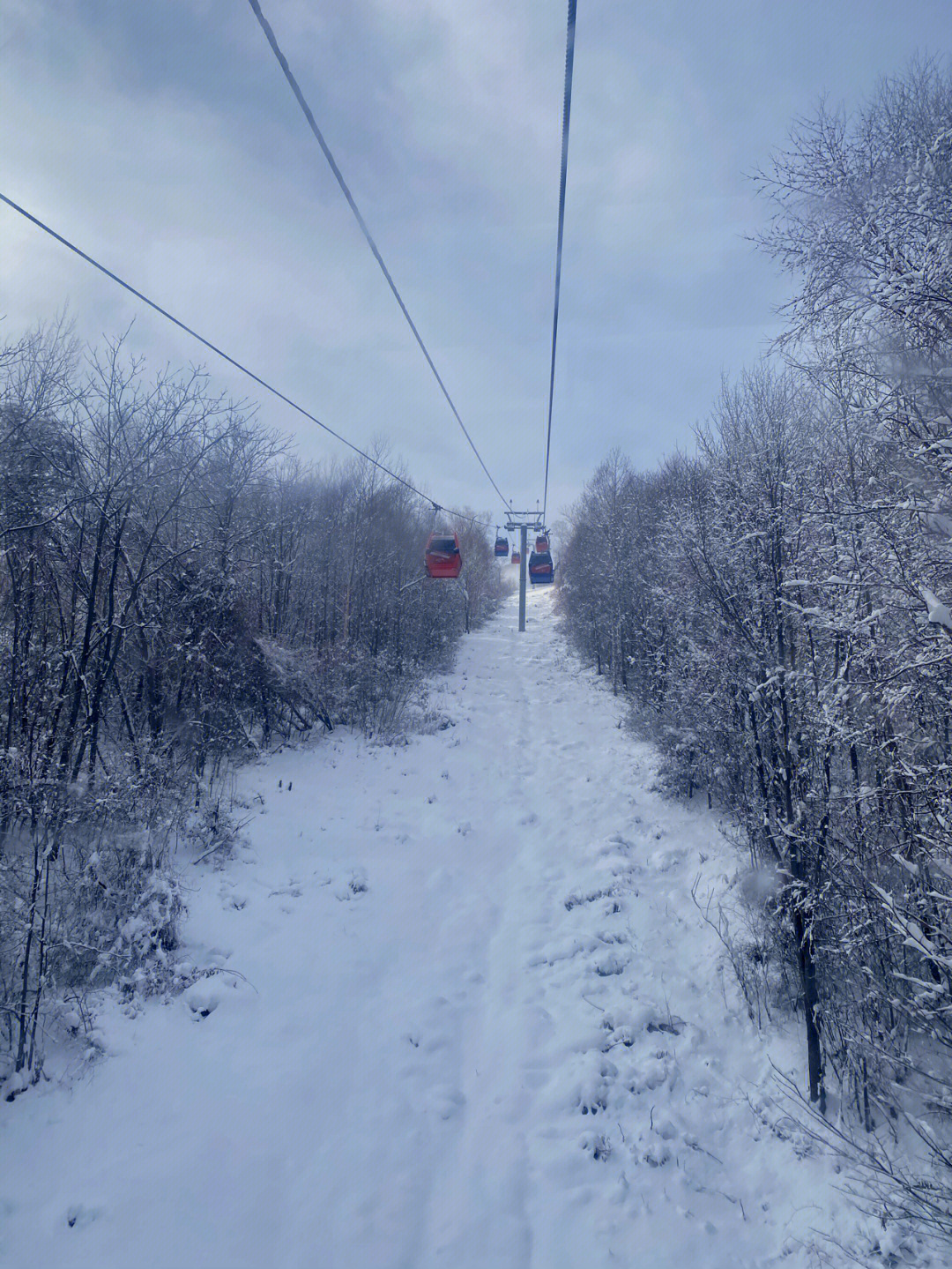 长白山坎坷行之万达滑雪