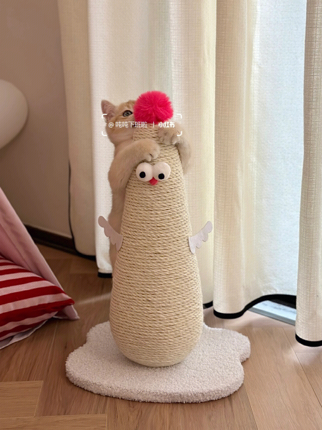 jpg