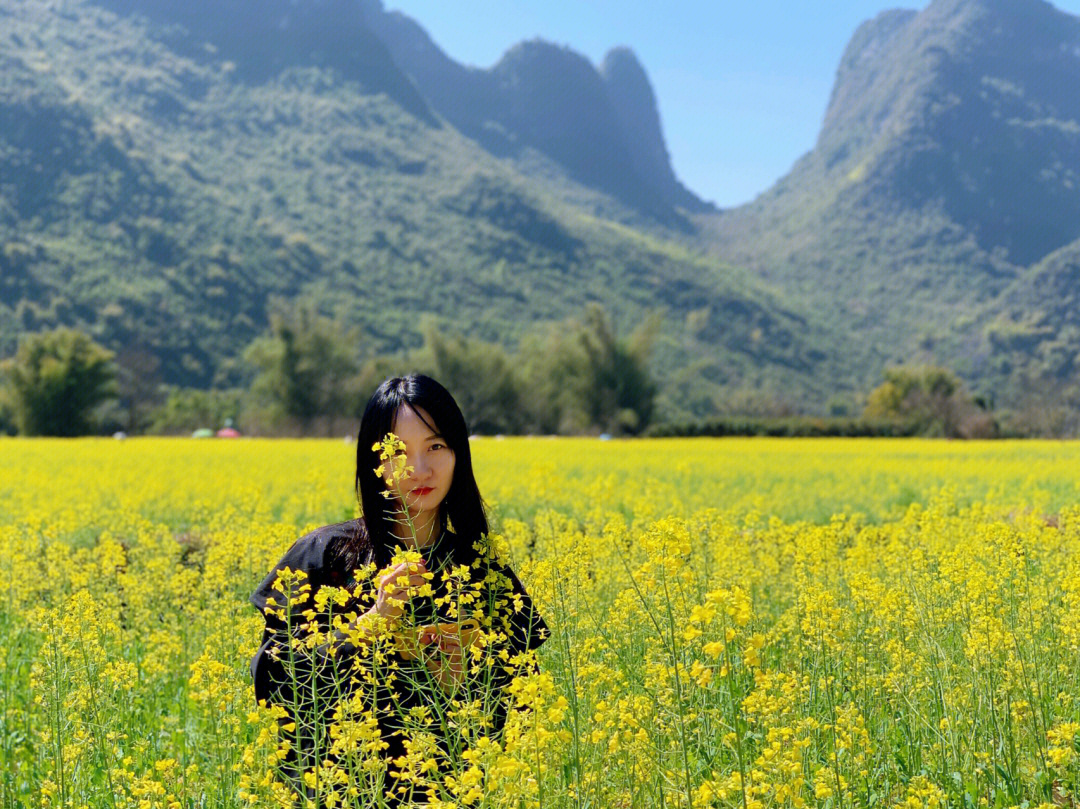 桂林阳朔夏棠寨油菜花