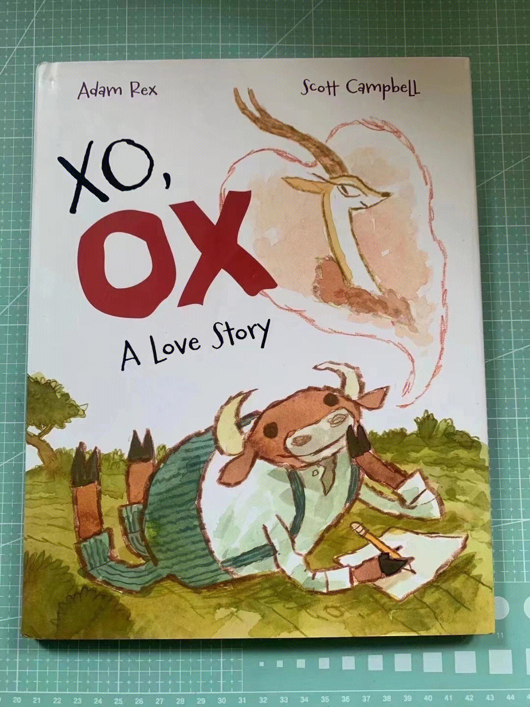 原版英文绘本xo ox a love story公牛:一