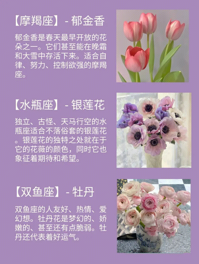 jpg