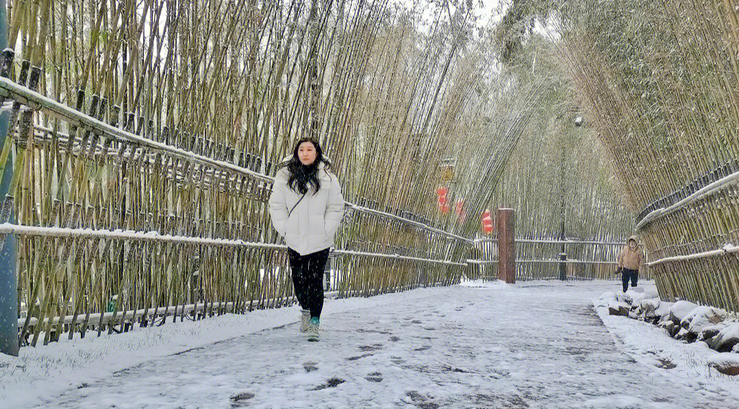 中原竹寨雪景照