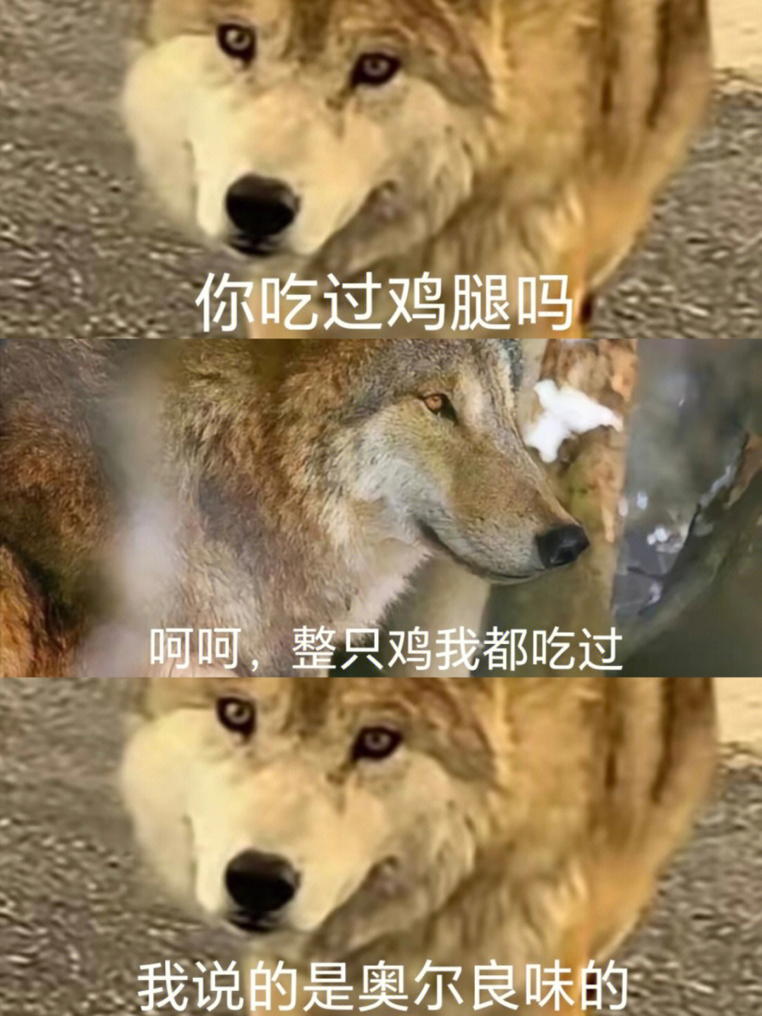 jpg