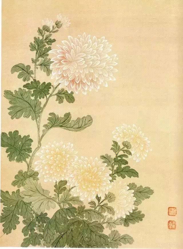 国画没骨花卉恽寿平作品