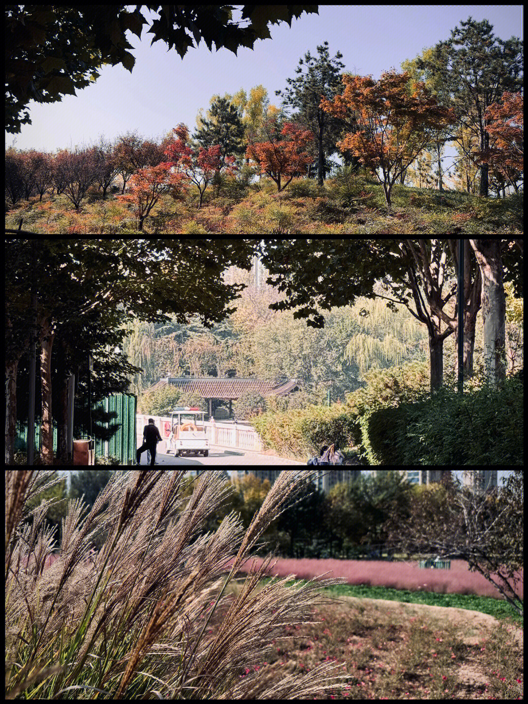 jpg