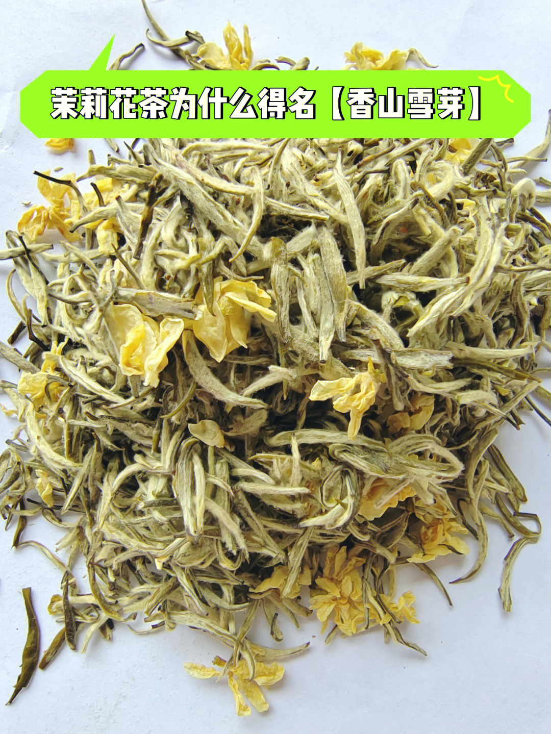 茉莉花茶为什么得名香山雪芽