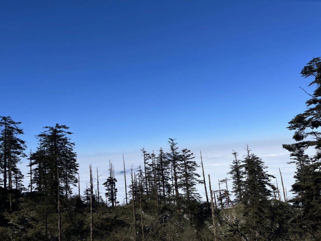 想看雪,又不想跑太远,于是看了成都周边攻略,选择了瓦屋山