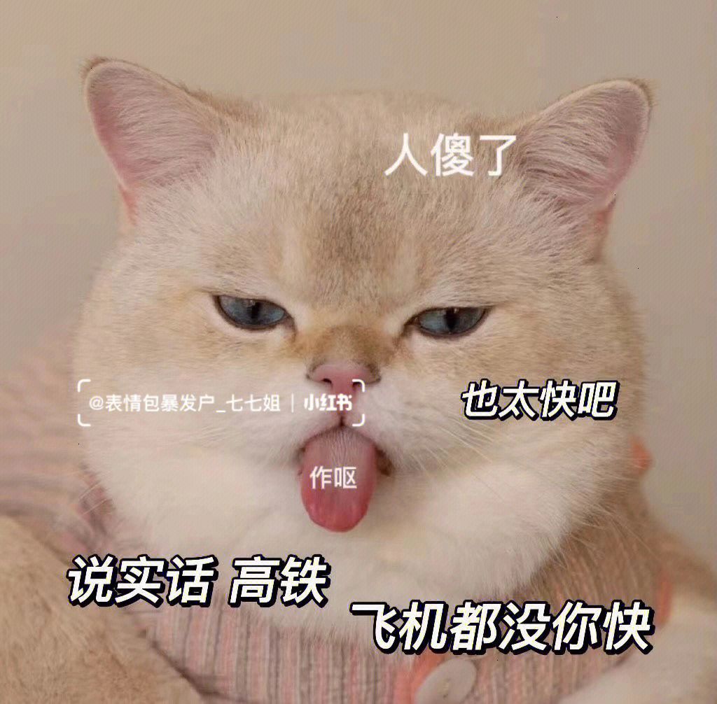 猫咪表情包搞笑沙雕表情包情侣微信聊天