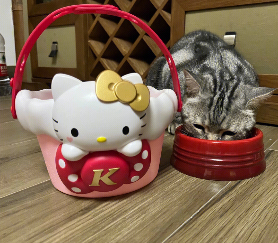 肯德基hellokitty巨大桶玩具