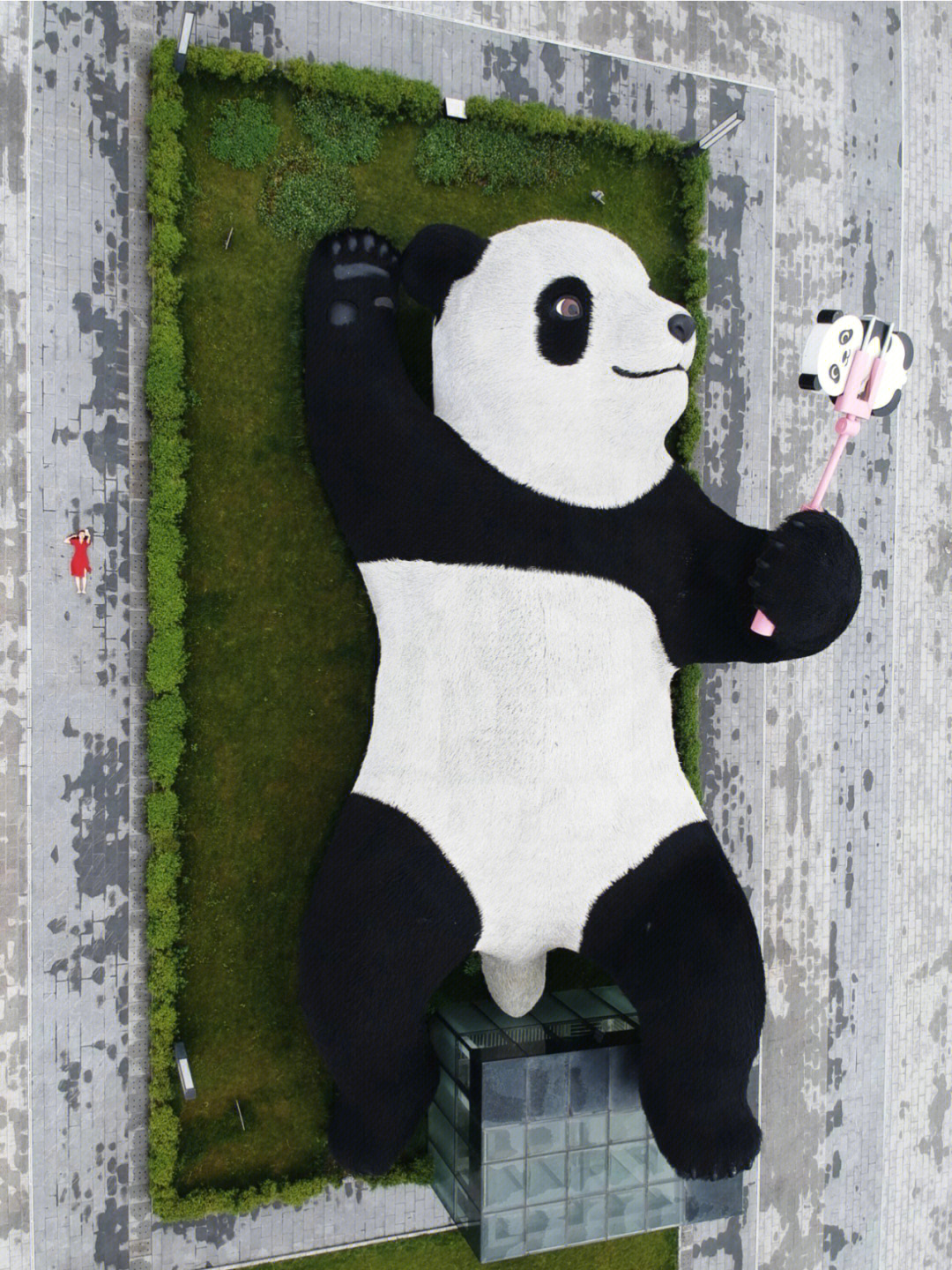 成都周边游和都江堰的熊猫一起躺平