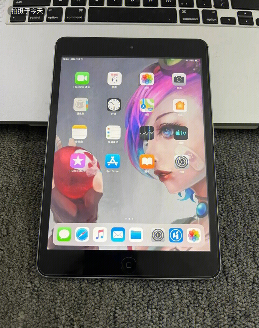 ipadmini2